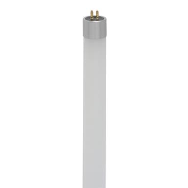 S11904